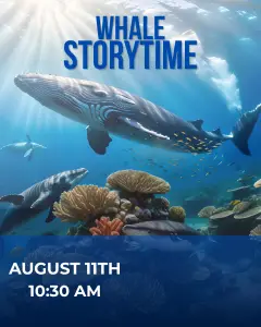 Whale Storytime
