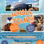 Whale Event