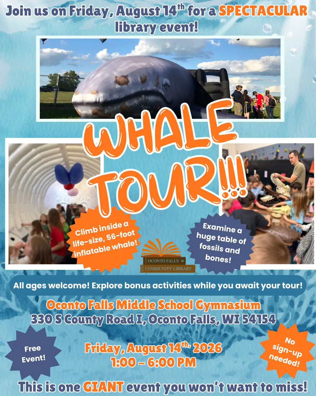 Whale Event