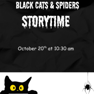 black cats and spiders