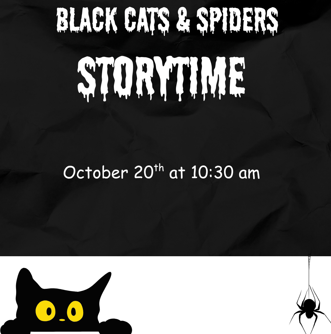 black cats and spiders